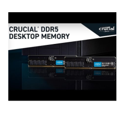 DDR5 16GB PC 5600 Crucial CT16G56C46U5