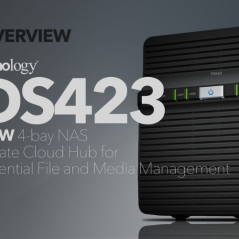 NAS Server Synology Disk Station DS423