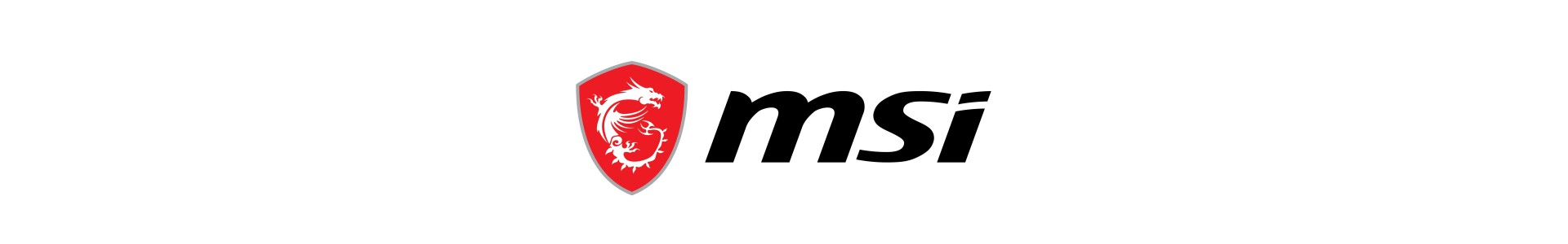 Business Notebook MSI